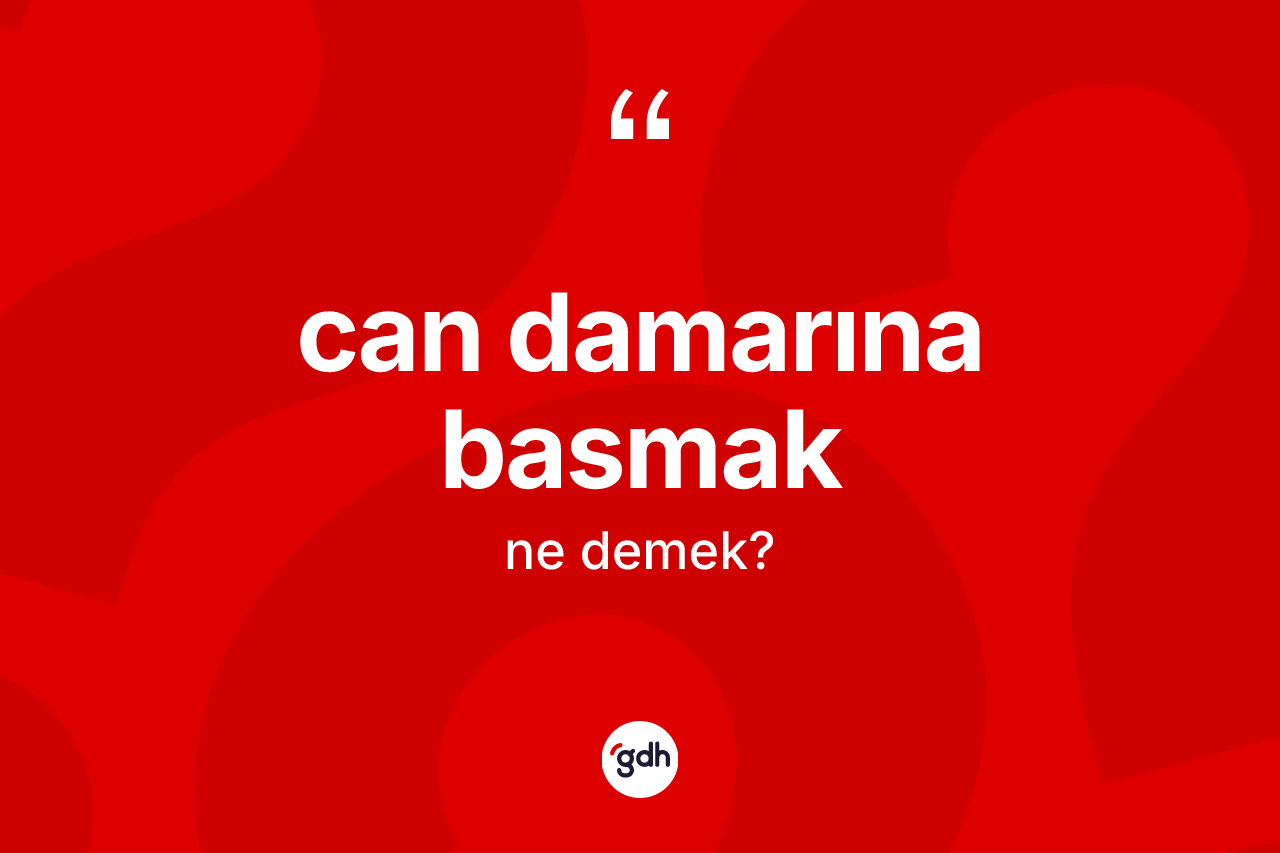 Can damarına basmak ifadesinin tanımı nedir?