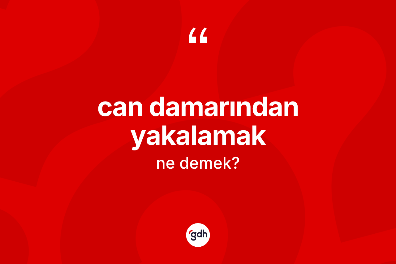 Can damarından yakalamak ifadesinin kısaca tanımı nedir?