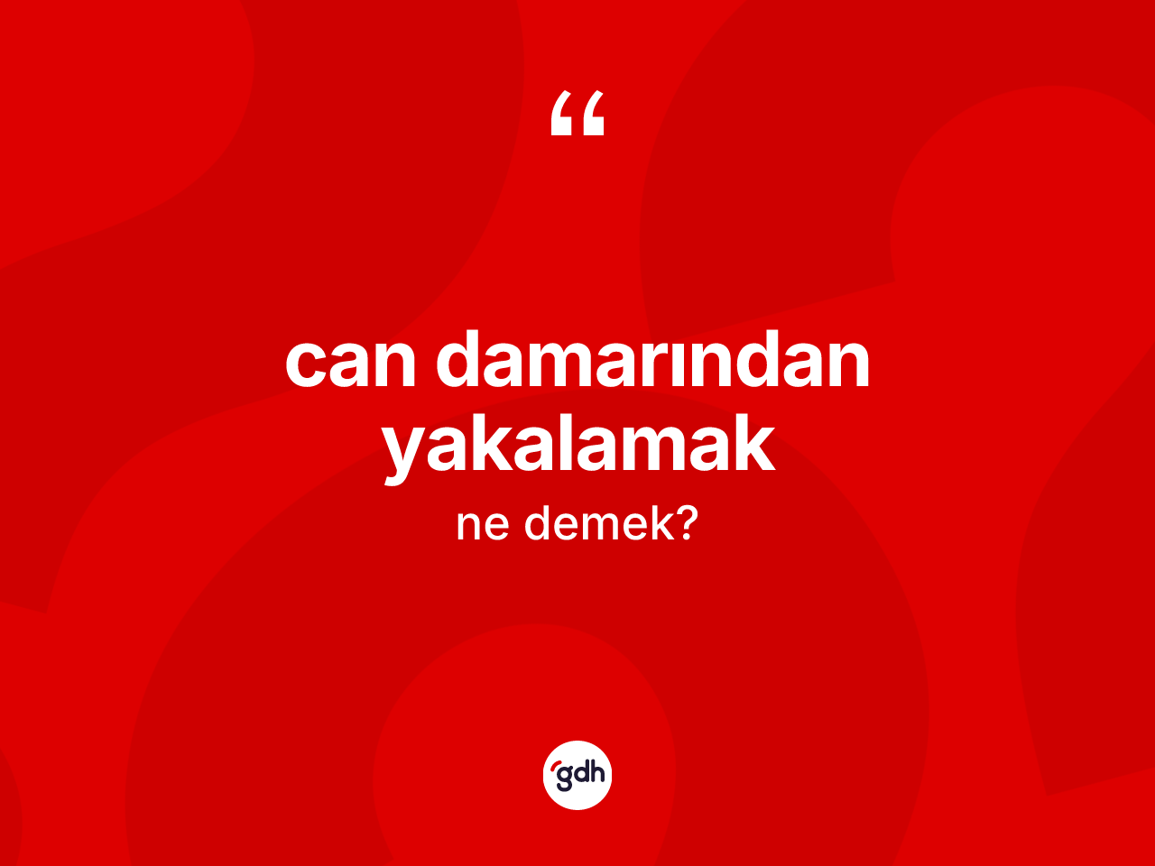 Can damarından yakalamak ifadesinin kısaca tanımı nedir? Can damarından yakalamak ifadesi nerede kullanılır?