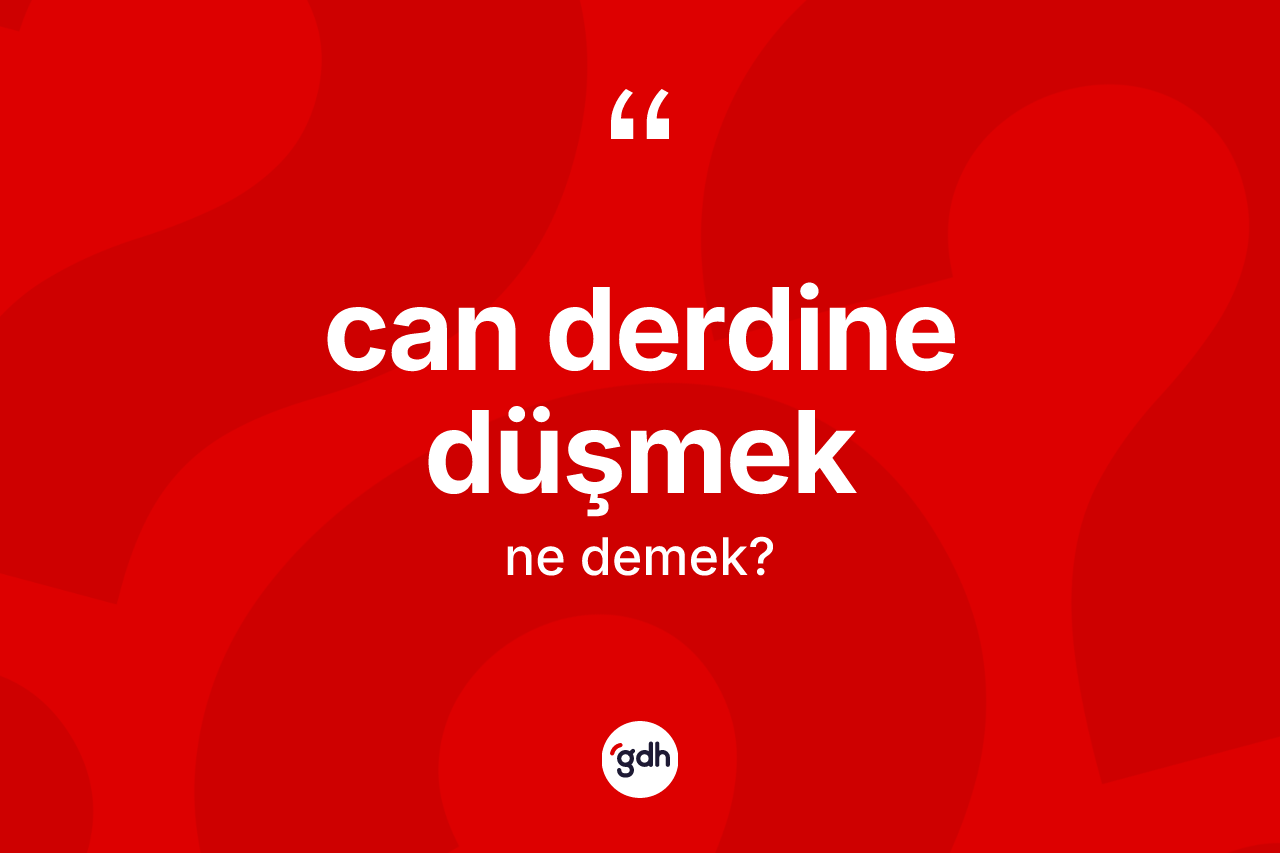 Can derdine düşmek ifadesinin sözlükteki anlamı nedir? Can derdine düşmek ifadesi nerede kullanılır?
