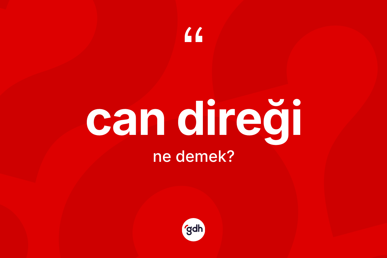 Can direği kelimesinin anlamı nedir? Can direğinin TDK'ya göre anlamı nedir?
