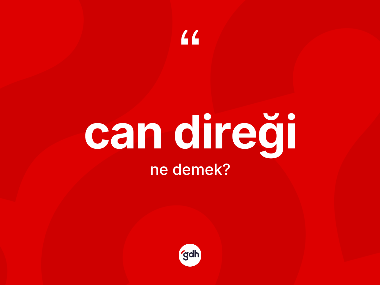Can direği kelimesinin anlamı nedir? Can direğinin TDK'ya göre anlamı nedir?