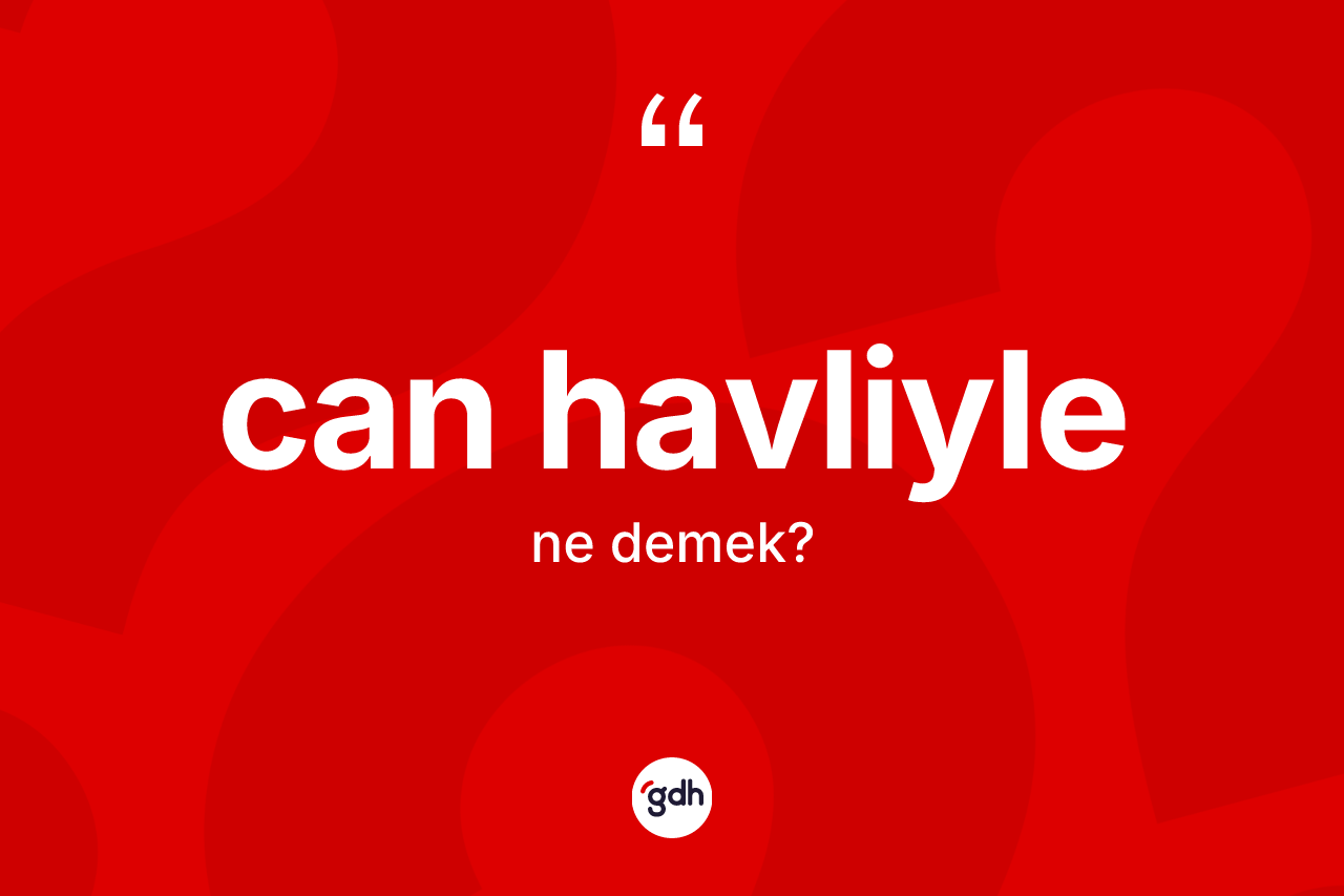Can havliyle kelimesi ne anlama gelir? Can havliylenin kısaca tanımı nedir?