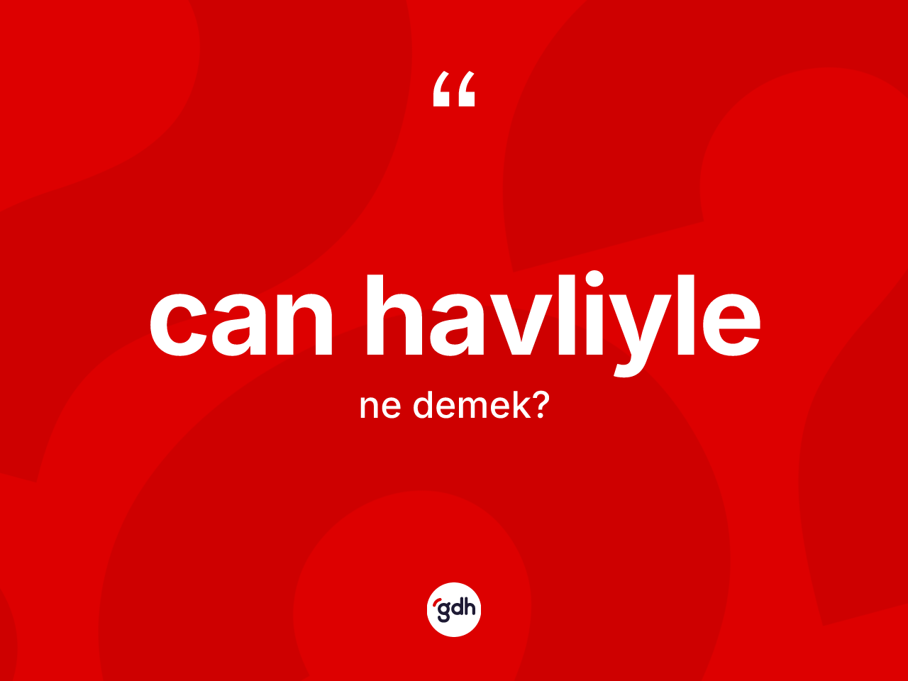 Can havliyle kelimesi ne anlama gelir? Can havliylenin kısaca tanımı nedir?