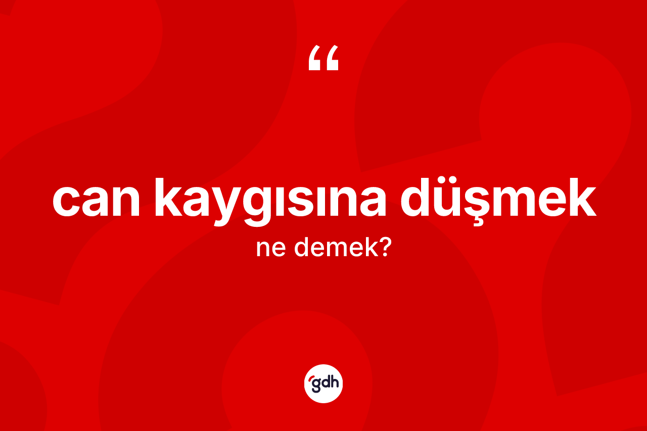 Can kaygısına düşmek ifadesinin anlamı nedir?