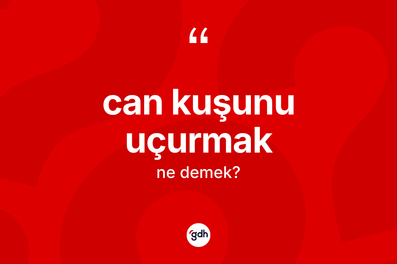 Can kuşunu uçurmak ifadesinin anlamı nedir?
