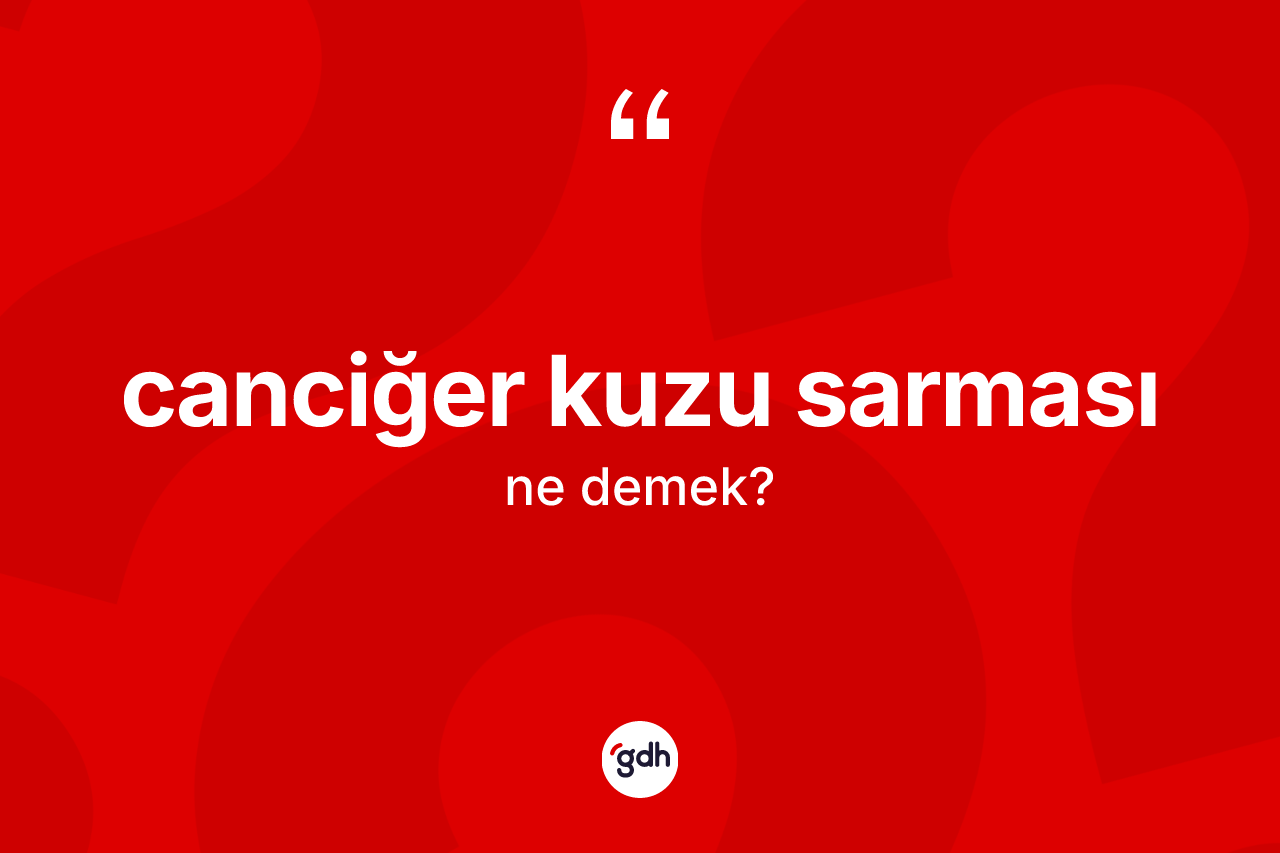 Canciğer kuzu sarması ifadesi neyi anlatır?