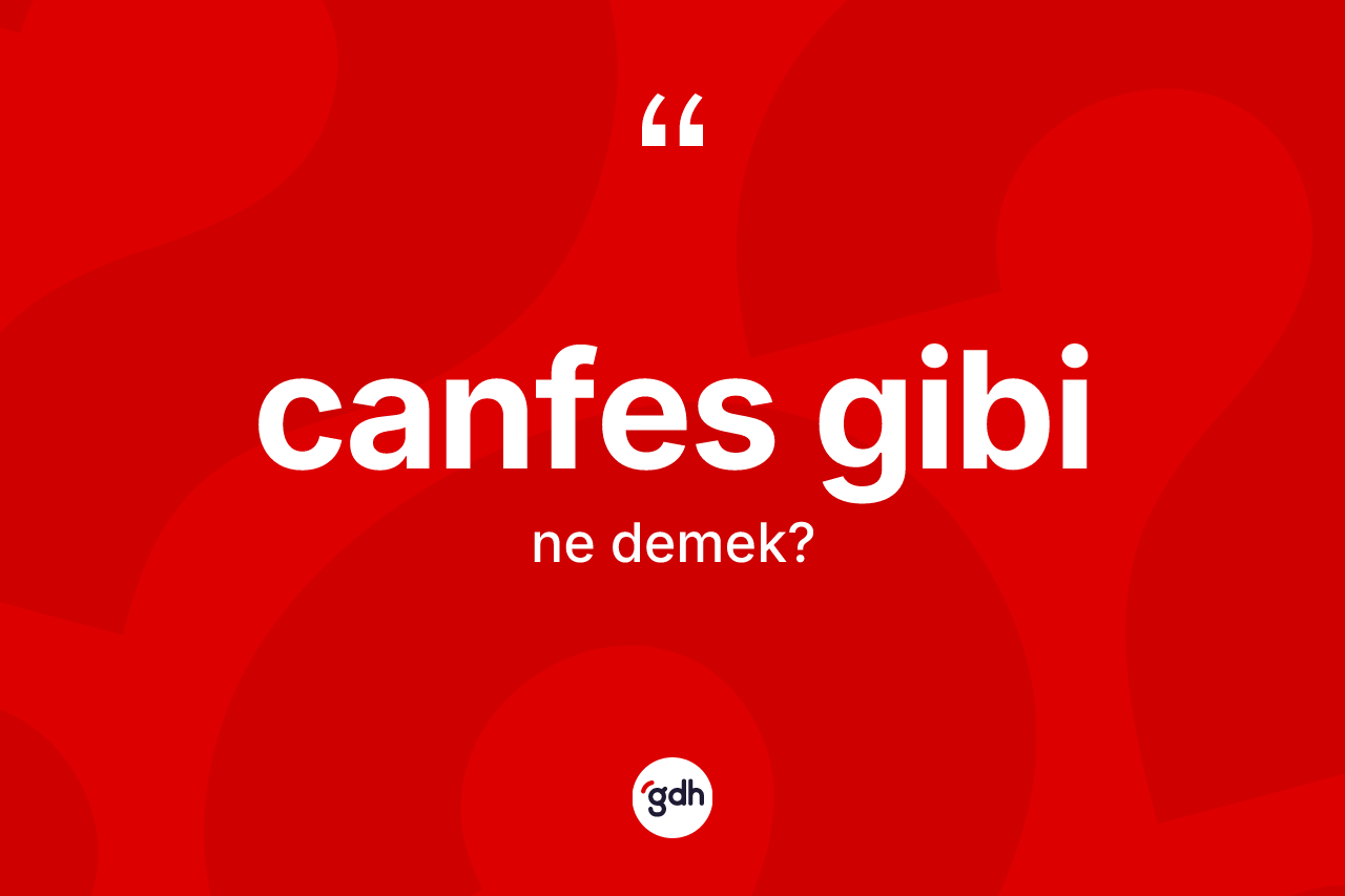 Canfes gibi ne demektir?