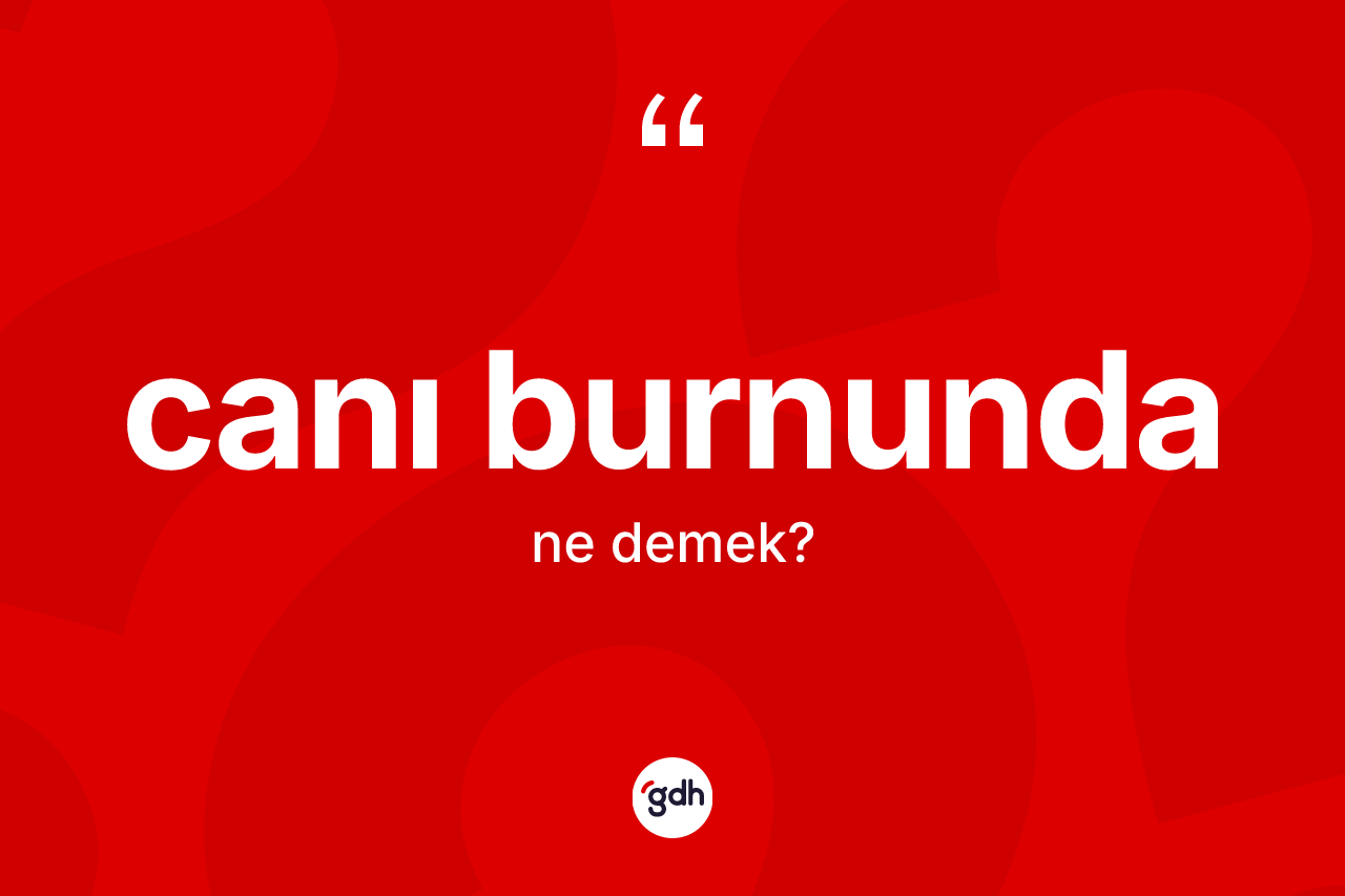 Canı burnunda nedir?