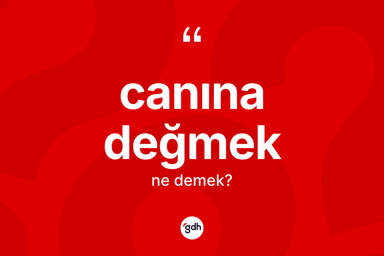Canına değmek ne demek?