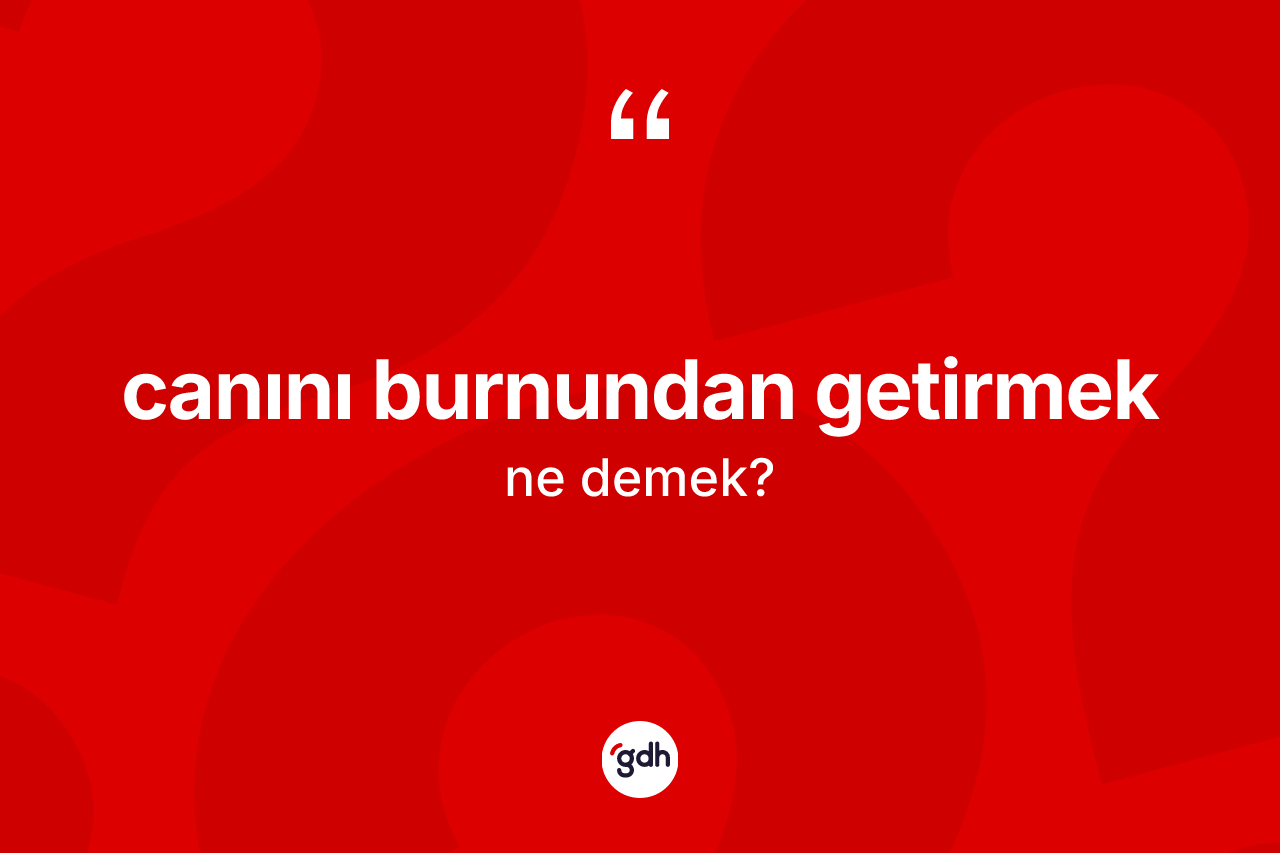 Canını burnundan getirmek ifadesinin sözlükteki anlamı nedir?