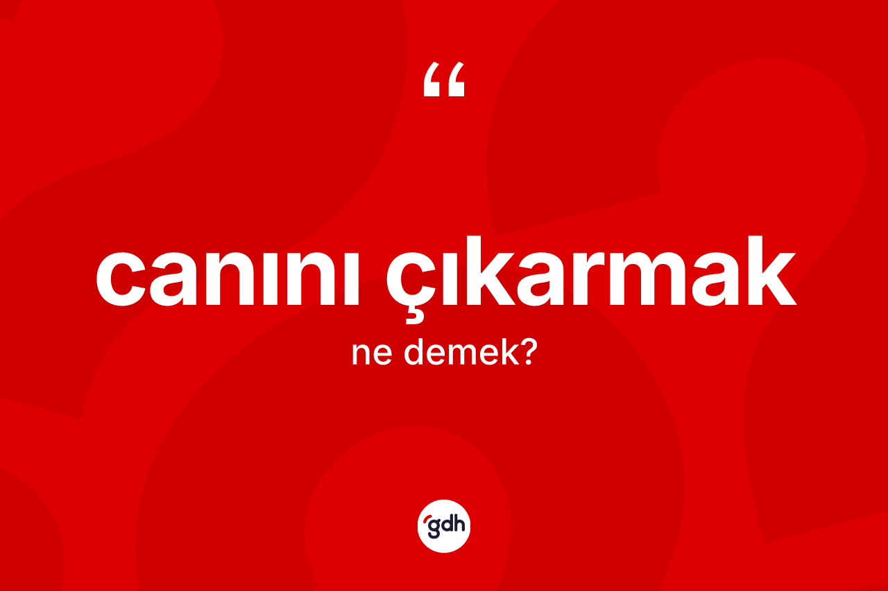 Canını çıkarmak ifadesinin kısaca tanımı nedir?