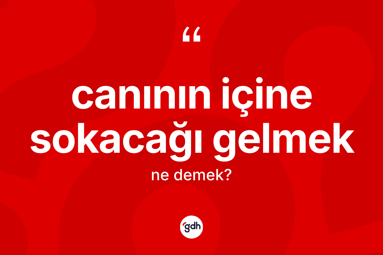 Canının içine sokacağı gelmek ifadesinin sözlükteki anlamı nedir?