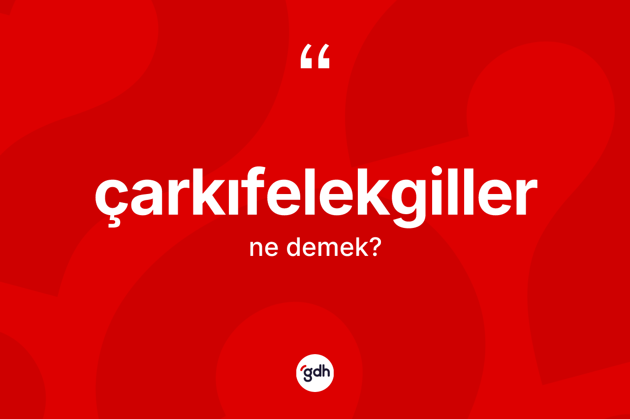 Çarkıfelekgiller ne anlama gelir? Çarkıfelekgillerin sözlükteki anlamı nedir?
