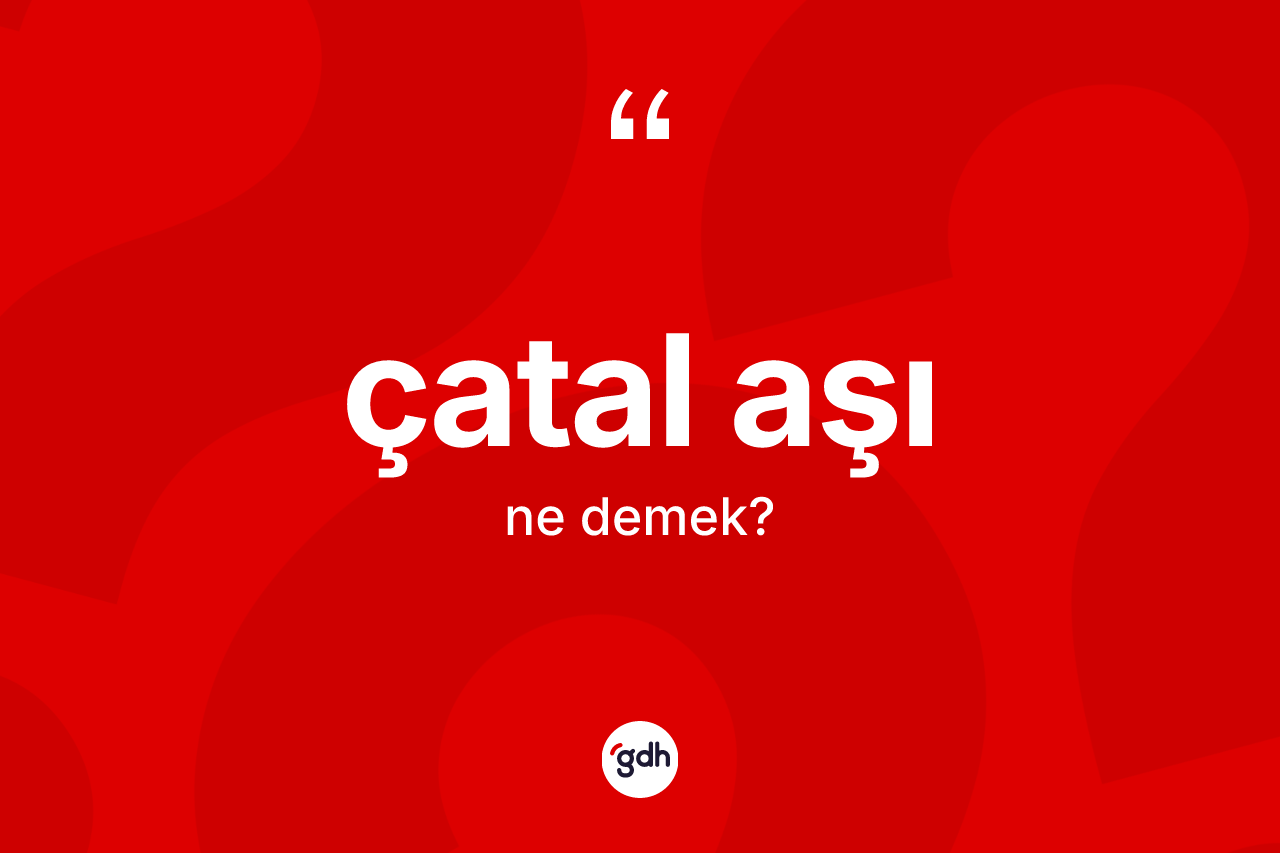 Çatal aşı kelimesinin anlamı nedir? Çatal aşının TDK'ya göre anlamı nedir?