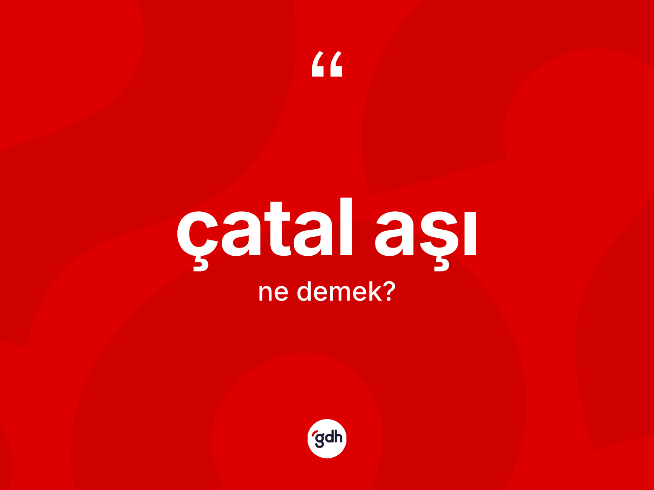 Çatal aşı kelimesinin anlamı nedir? Çatal aşının TDK'ya göre anlamı nedir?