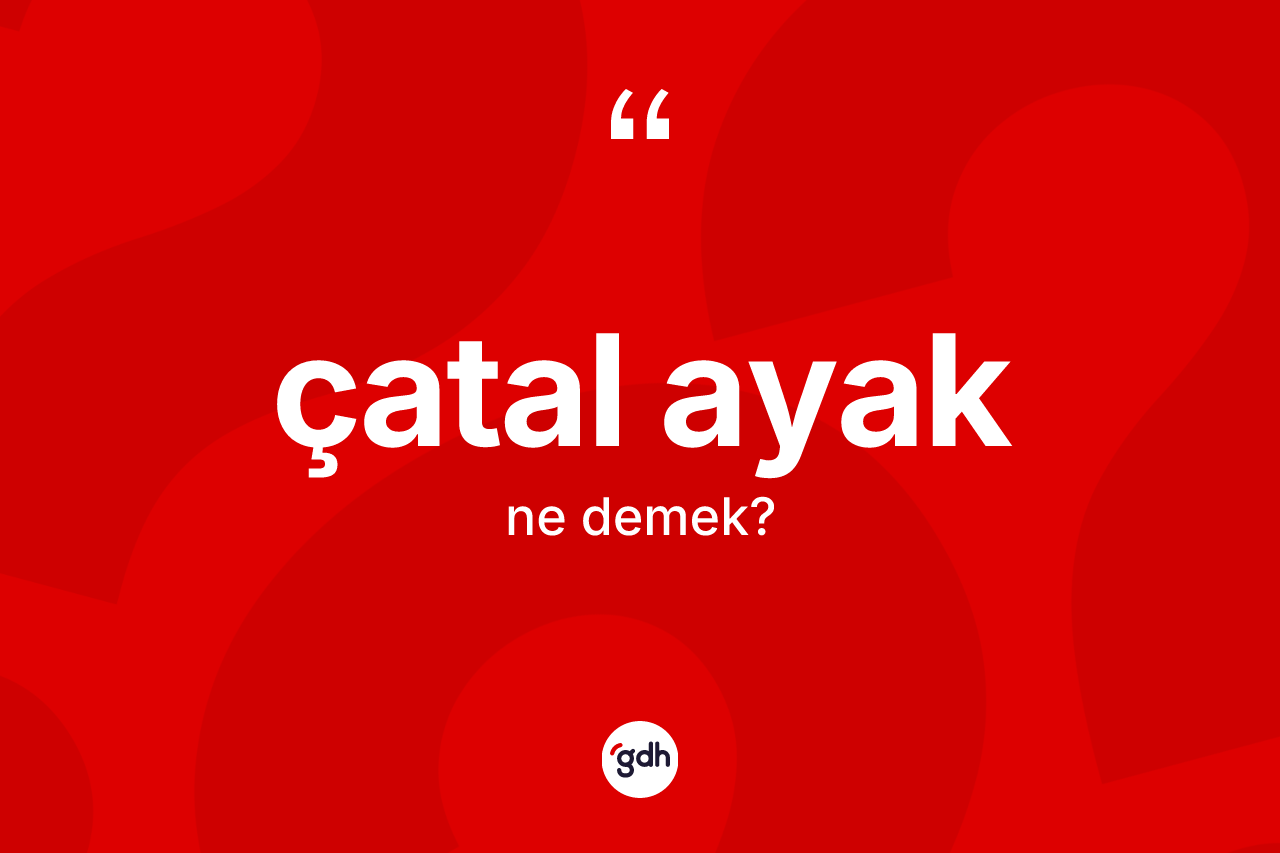 Çatal ayak nedir? Çatal ayak kelimesinin özellikleri nelerdir?