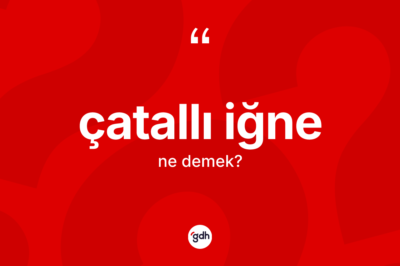 Çatallı iğne kelimesinin sözlükteki tanımı nedir? Çatallı iğnenin TDK'ya göre anlamı nedir?
