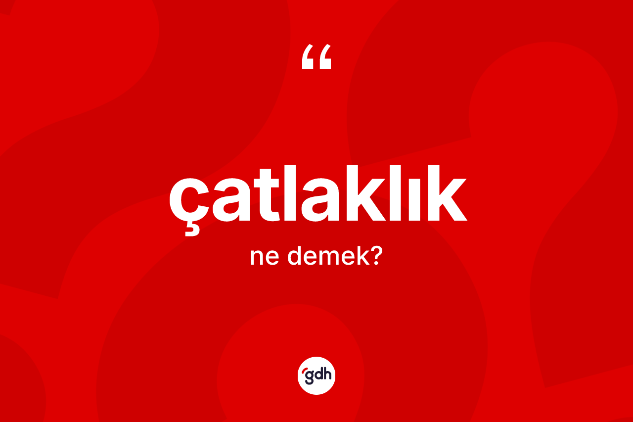 Çatlaklık kelimesi ne anlama gelir? Çatlaklık kelimesinin kaç farklı anlamı var?