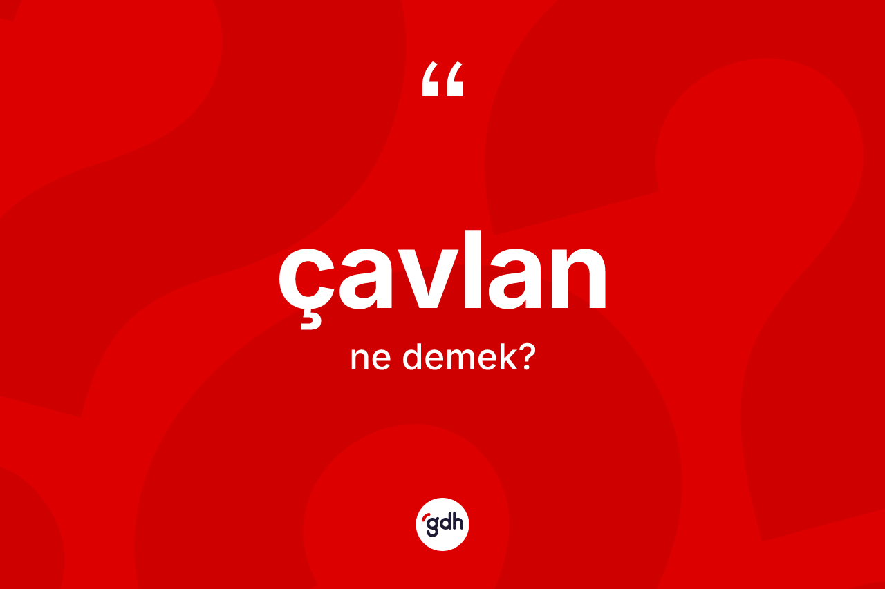 Çavlan kelimesinin sözlükteki tanımı nedir? Çavlan kelimesinin TDK anlamı nedir?