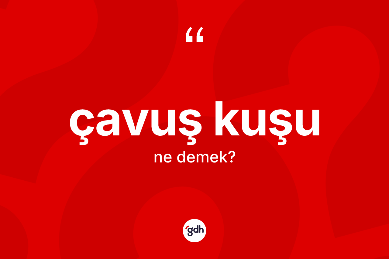 Çavuş kuşu kelimesi ne demek?