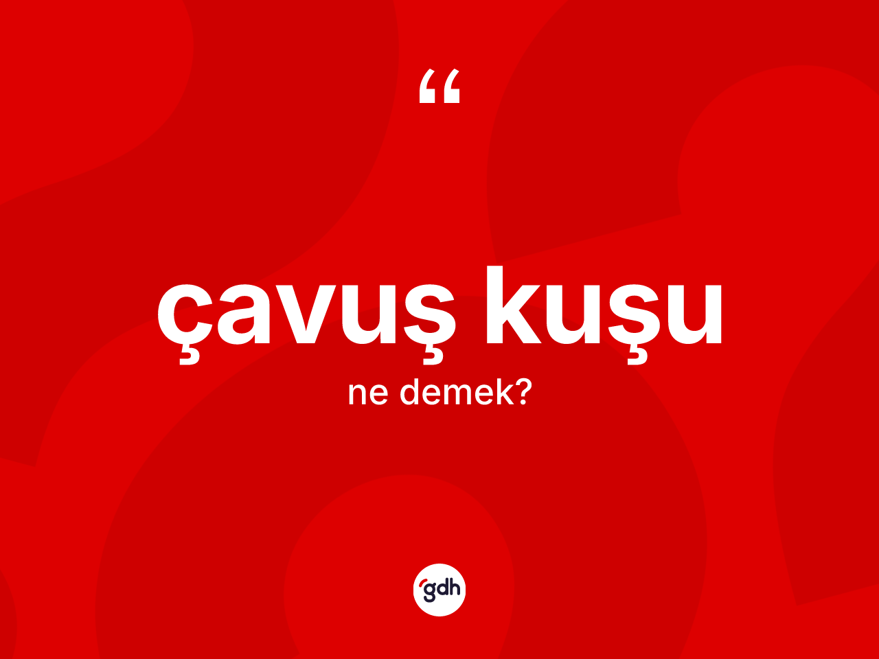 Çavuş kuşu kelimesi ne demek? Çavuş kuşu kelimesinin özellikleri nelerdir?