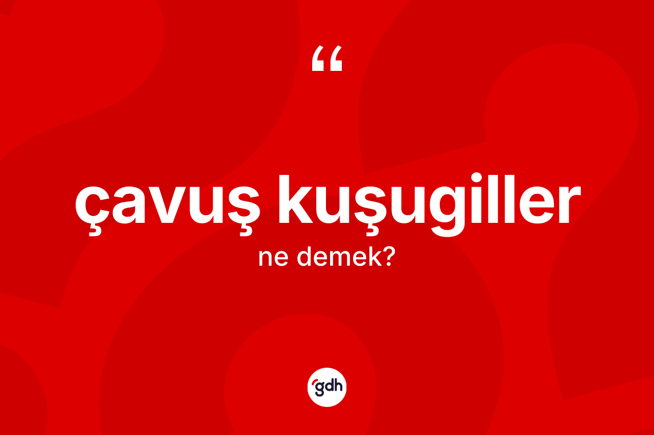 Çavuş kuşugiller kelimesinin tanımı nedir? Çavuş kuşugillerin kısaca tanımı nedir?