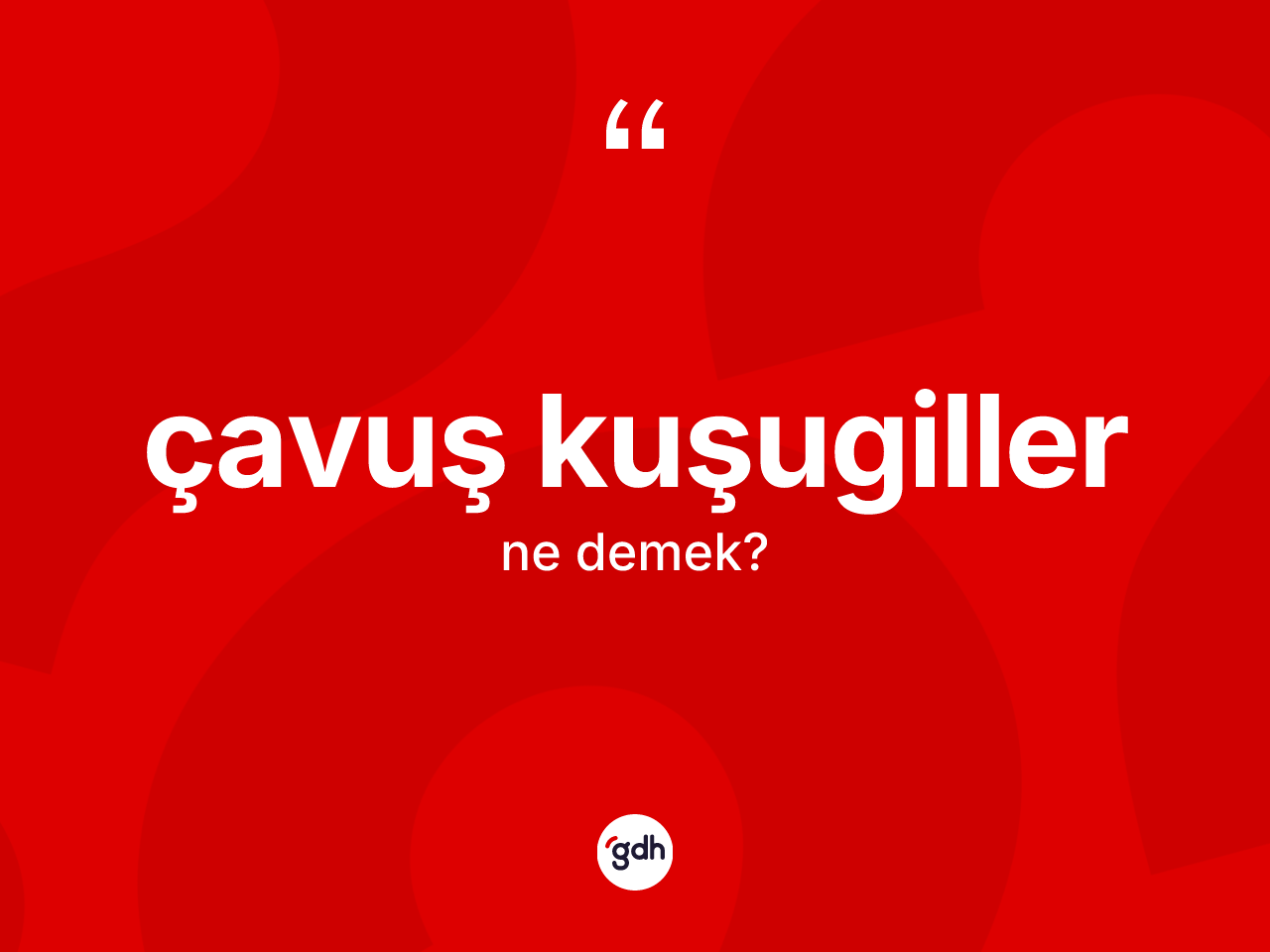 Çavuş kuşugiller kelimesinin tanımı nedir? Çavuş kuşugillerin kısaca tanımı nedir?