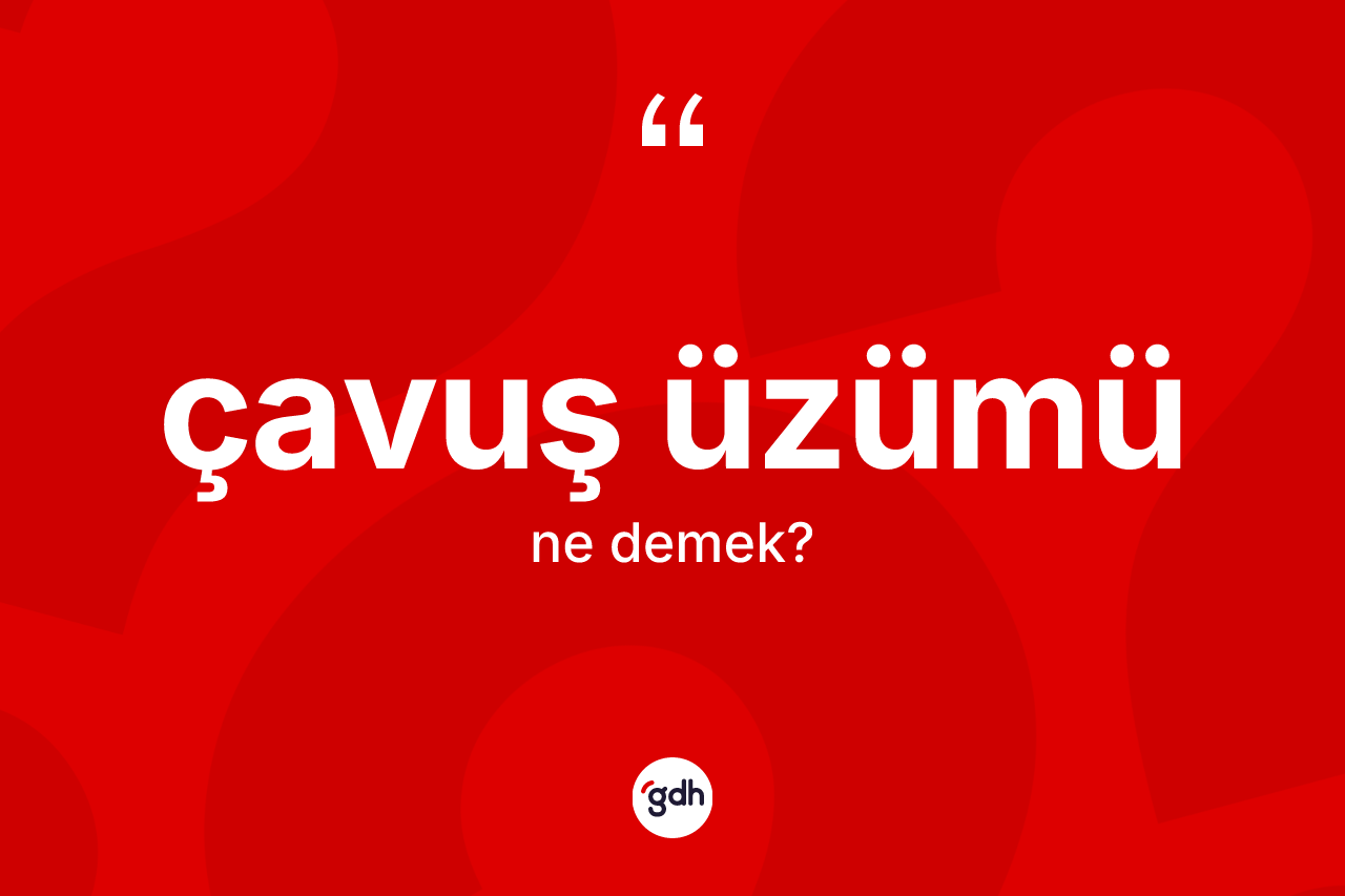Çavuş üzümü kelimesinin tanımı nedir? Çavuş üzümünün TDK'ya göre anlamı nedir?