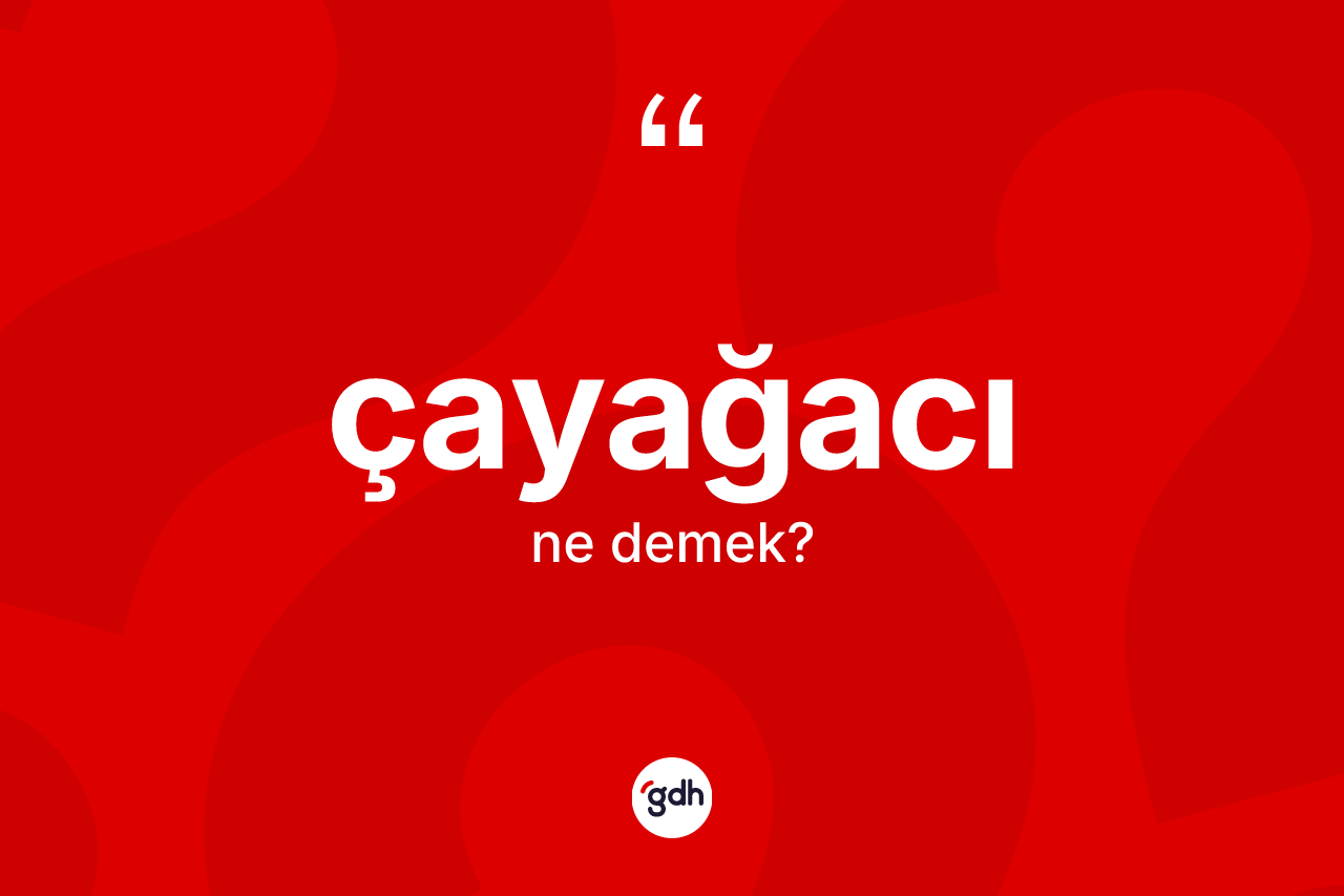 Çayağacı kelimesinin tanımı nedir? Çayağacının TDK'ya göre anlamı nedir?