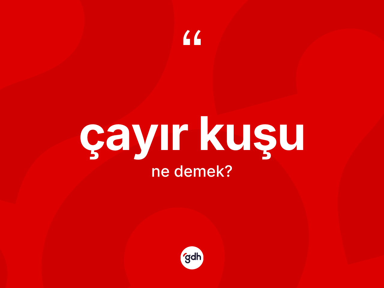 Çayır kuşu nedir? Çayır kuşunun TDK'ya göre anlamı nedir?