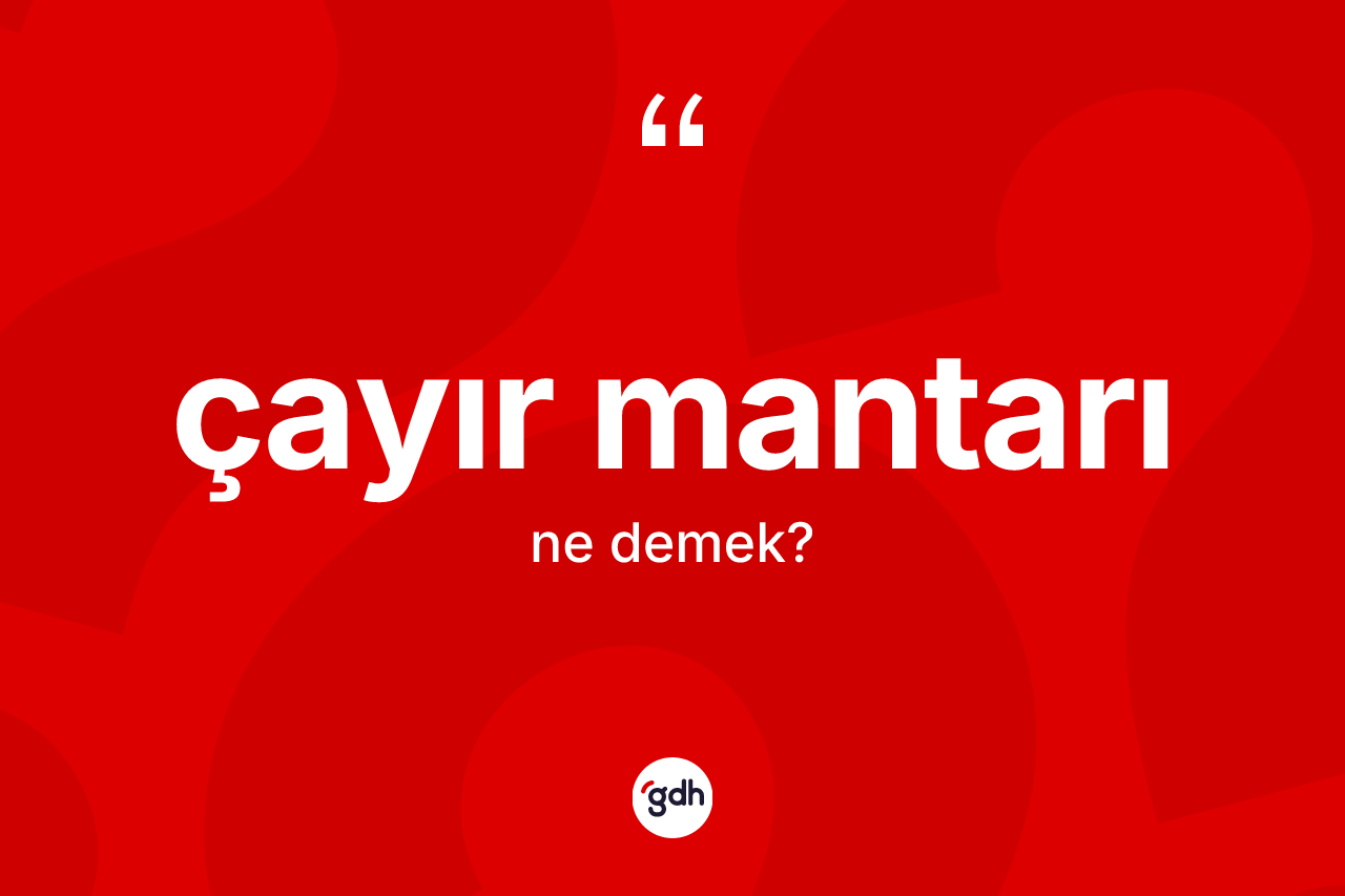 Çayır mantarı nedir?