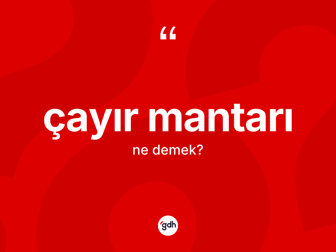 Çayır mantarı nedir? Çayır mantarı kelimesinin TDK'ya göre açıklaması nedir?