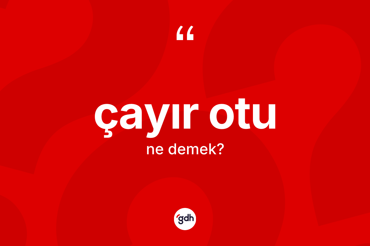 Çayır otu kelimesi ne anlama gelir? Çayır otunun halk arasındaki kullanımı nasıldır?