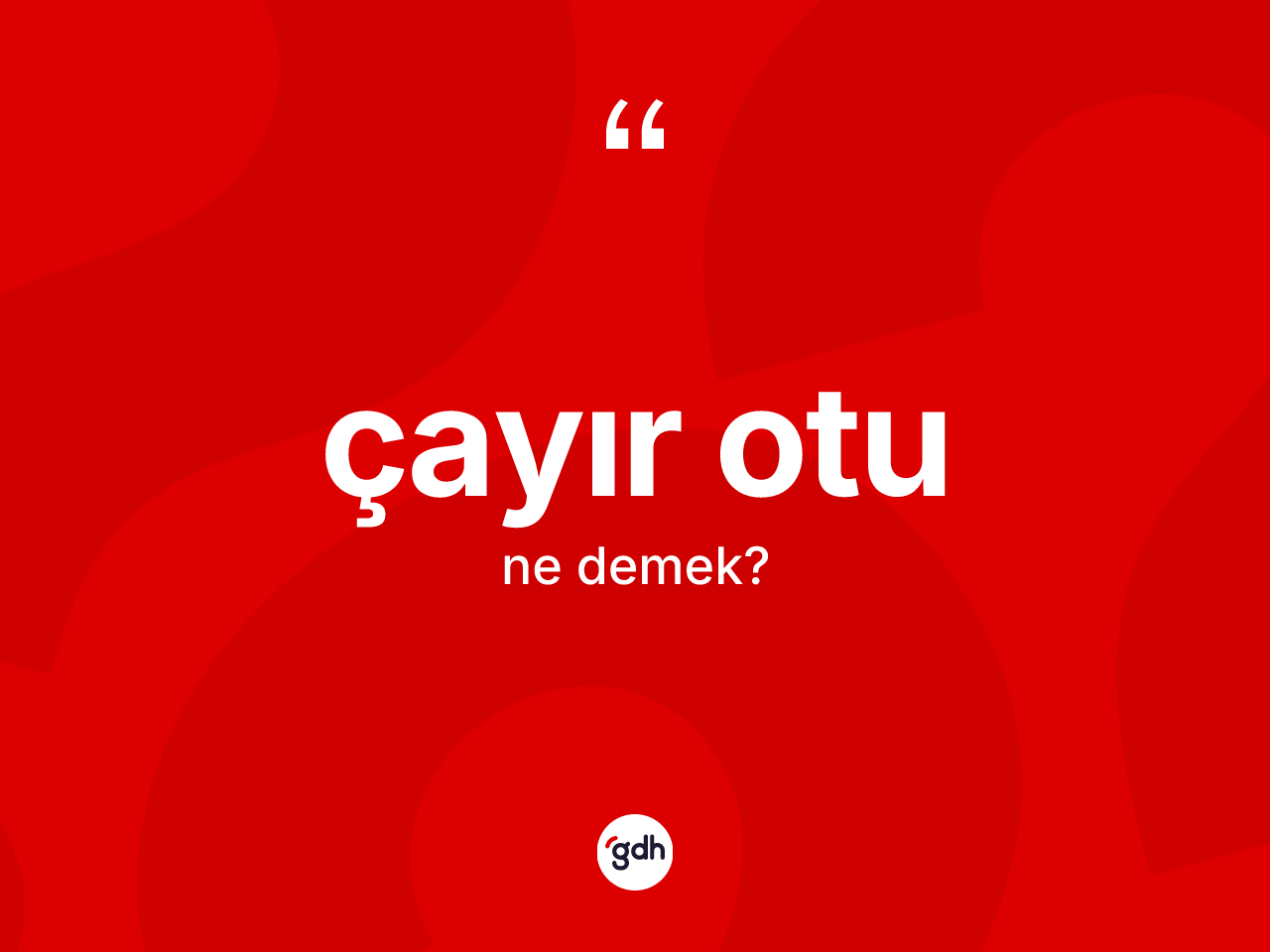 Çayır otu kelimesi ne anlama gelir? Çayır otunun halk arasındaki kullanımı nasıldır?