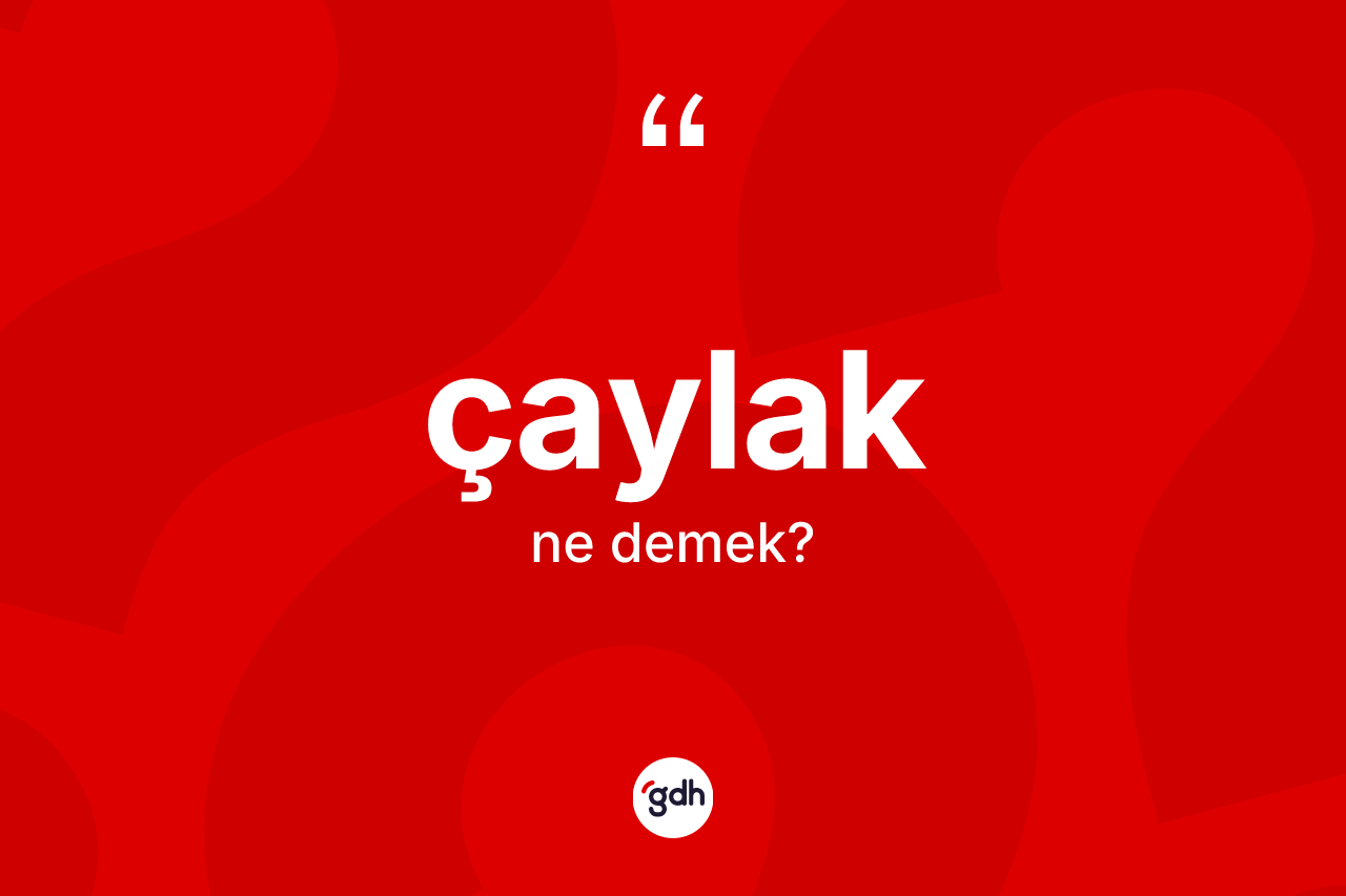 Çaylak kelimesinin anlamı nedir? Çaylak kelimesinin TDK anlamı nedir?