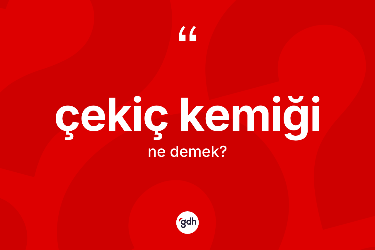Çekiç kemiği kelimesinin anlamı nedir? Çekiç kemiğinin TDK'ya göre anlamı nedir?