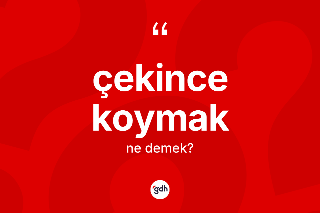 Çekince koymak ifadesi neyi anlatır? Çekince koymak ifadesi hangi durumlarda kullanılır