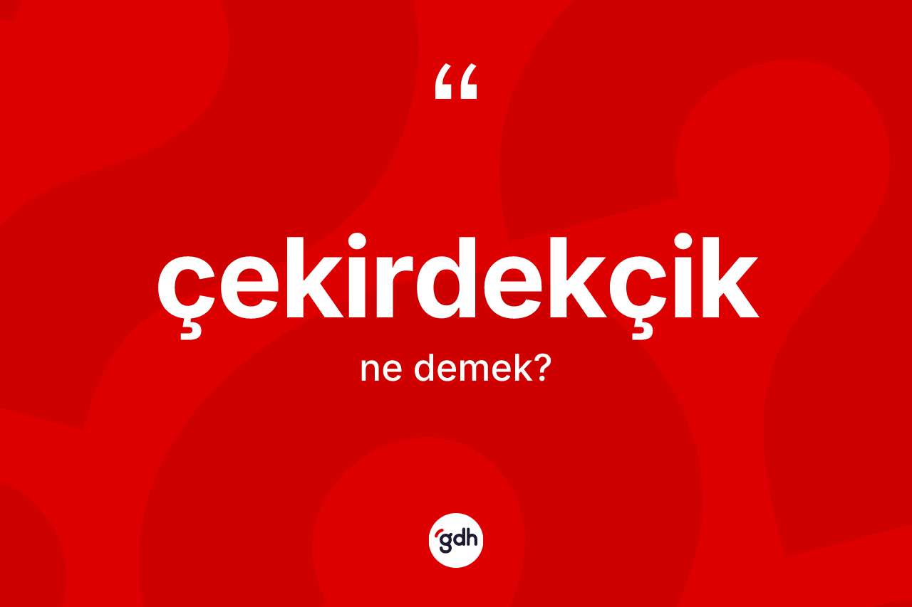 Çekirdekçik kelimesinin anlamı nedir? Çekirdekçiğin TDK'ya göre anlamı nedir?