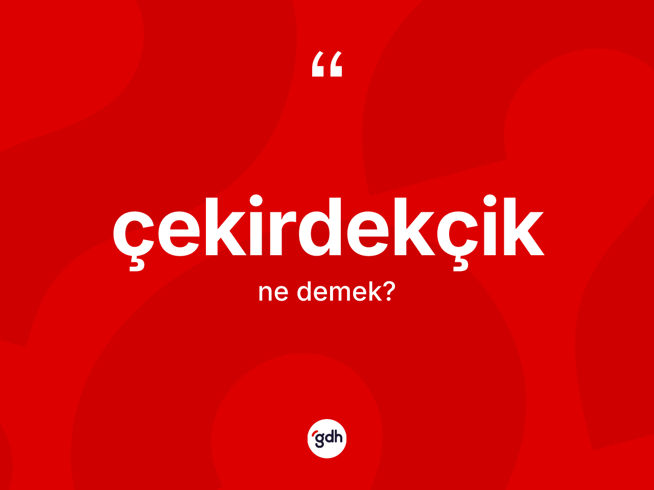 Çekirdekçik kelimesinin anlamı nedir? Çekirdekçiğin TDK'ya göre anlamı nedir?