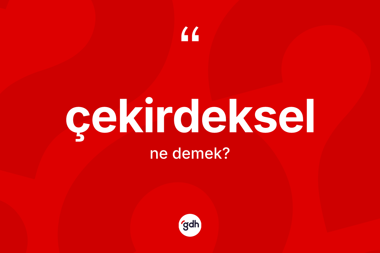 Çekirdeksel kelimesinin anlamı nedir? Çekirdeksel kelimesinin TDK'ya göre açıklaması nedir?
