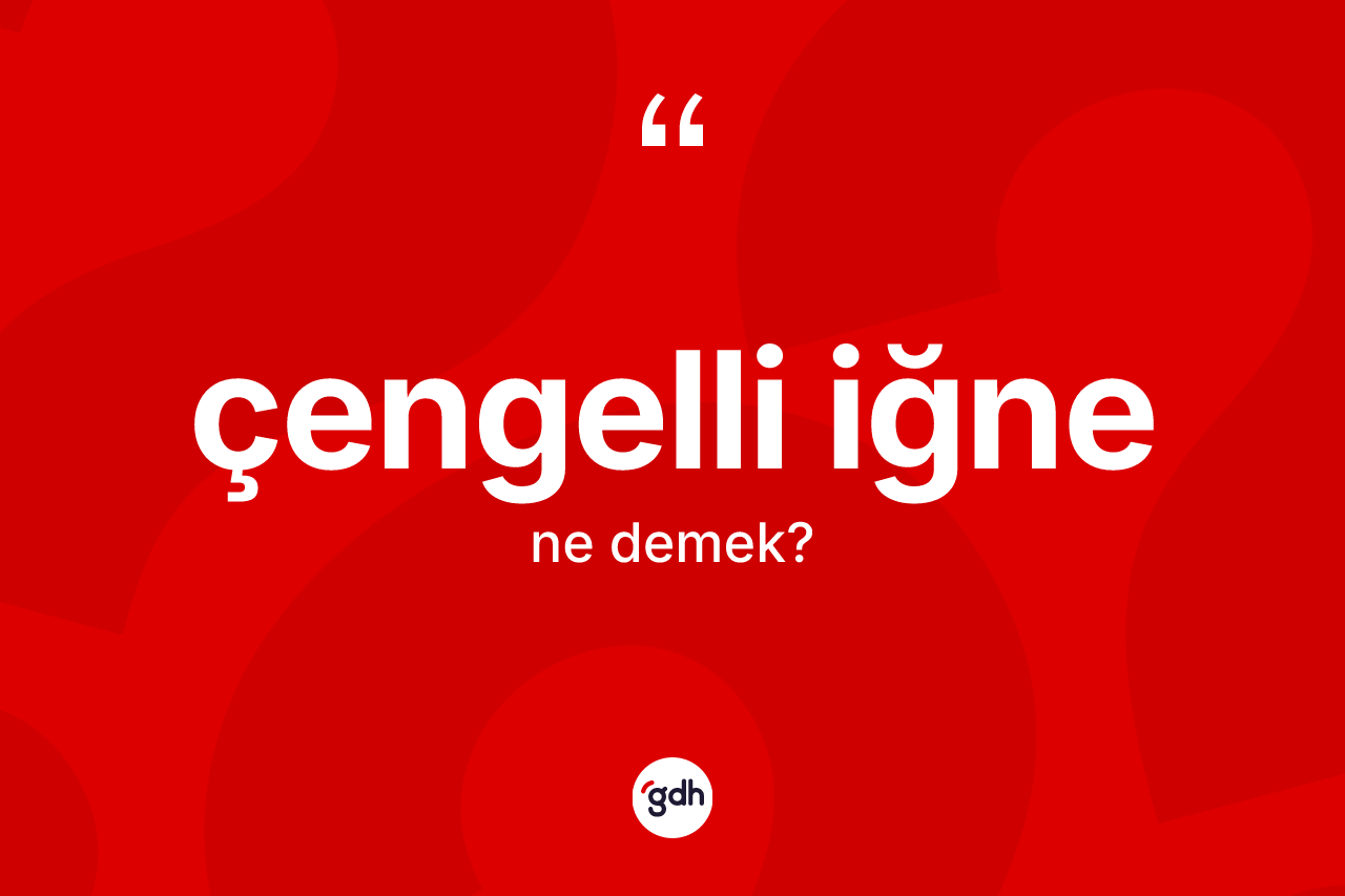Çengelli iğne kelimesi nedir? Çengelli iğne kelimesinin TDK anlamı nedir?