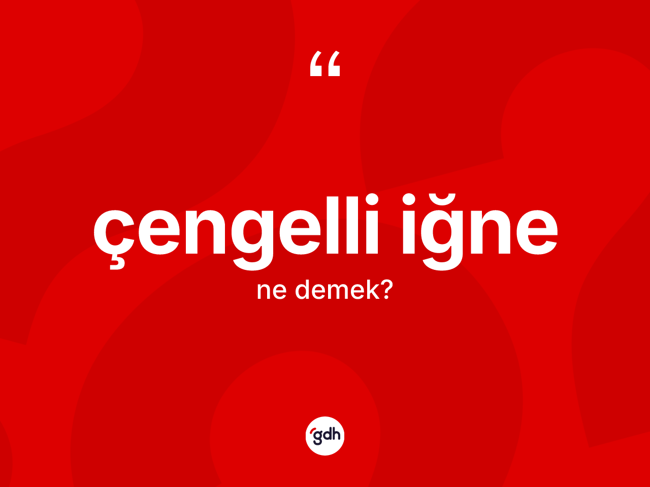Çengelli iğne kelimesi nedir? Çengelli iğne kelimesinin TDK anlamı nedir?