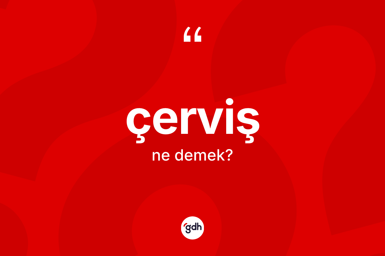 Çerviş kelimesinin anlamı nedir?