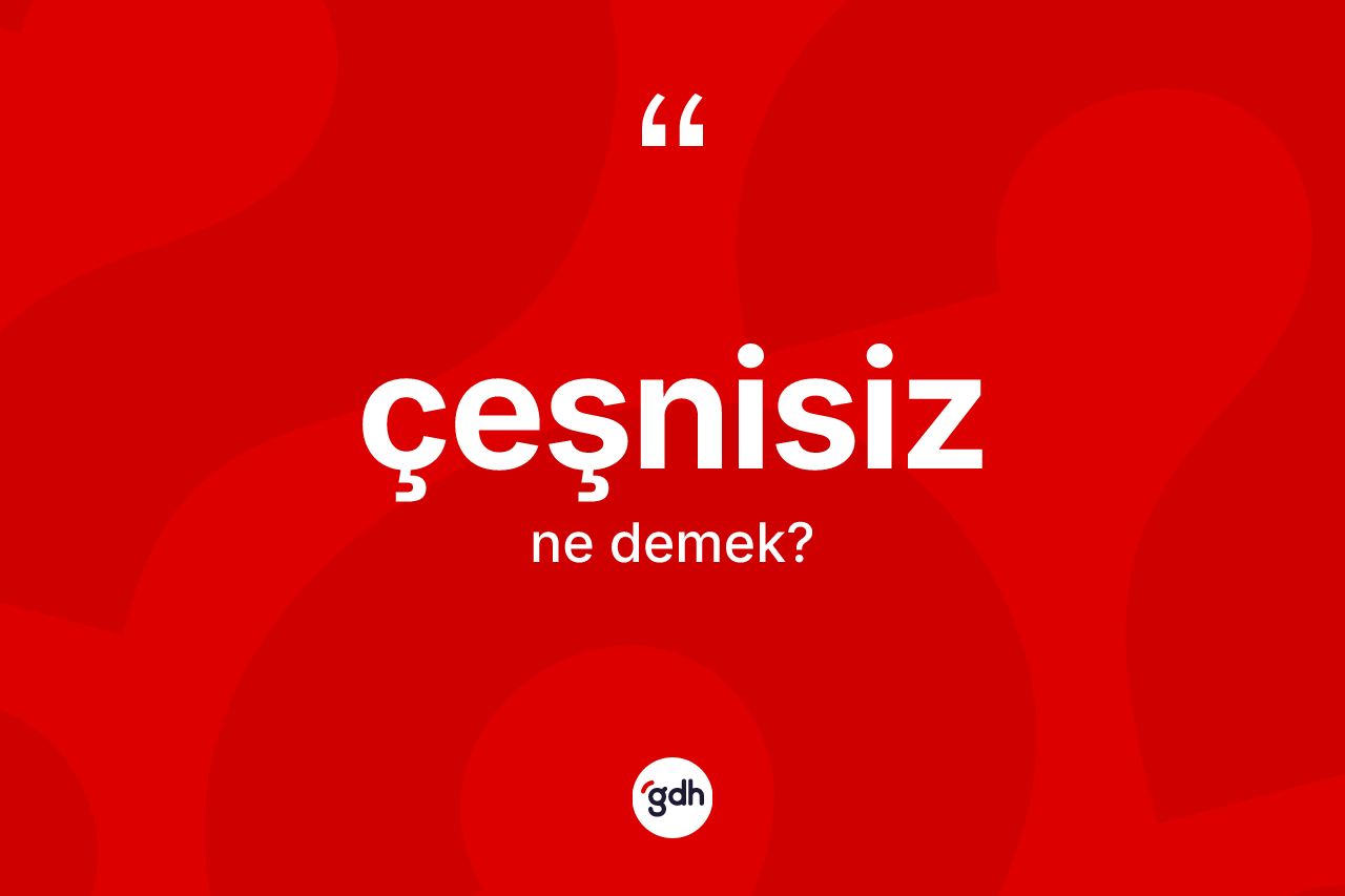 Çeşnisiz kelimesi ne demek? Çeşnisizin kısaca tanımı nedir?