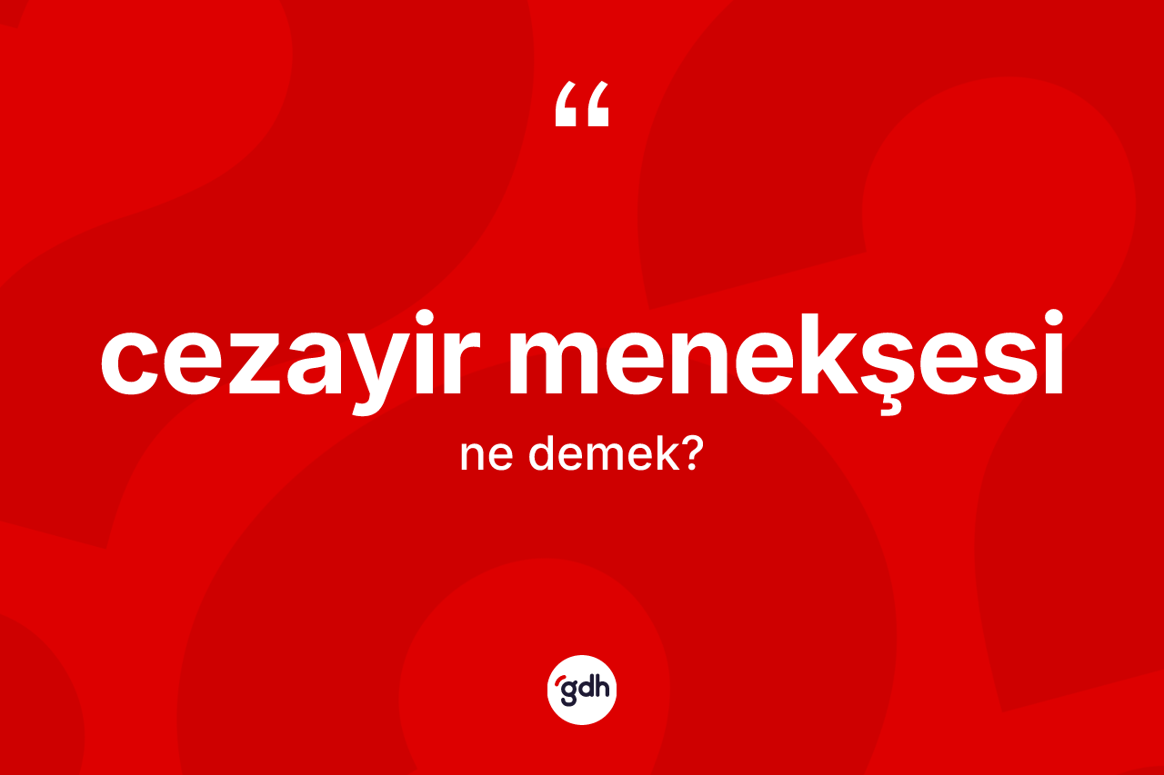 Cezayir menekşesi kelimesi ne anlama gelir?