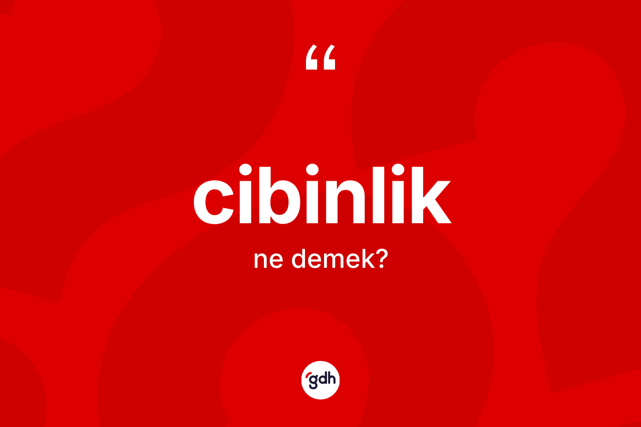 Cibinlik kelimesinin tanımı nedir? Cibinlik kelimesinin kaç farklı anlamı var?