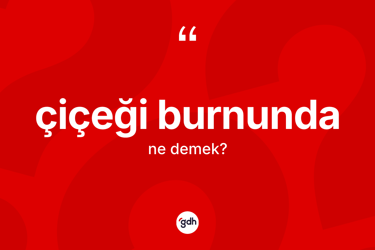 Çiçeği burnunda kelimesinin sözlükteki tanımı nedir?