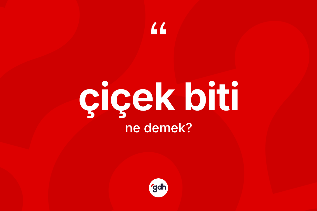 Çiçek biti kelimesinin anlamı nedir? Çiçek bitinin TDK'ya göre anlamı nedir?