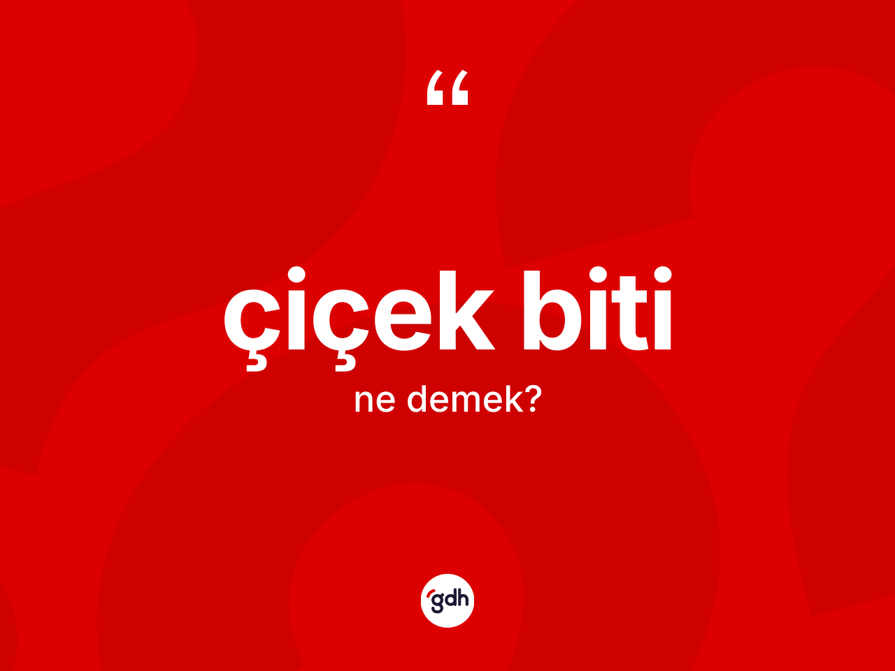Çiçek biti kelimesinin anlamı nedir? Çiçek bitinin TDK'ya göre anlamı nedir?